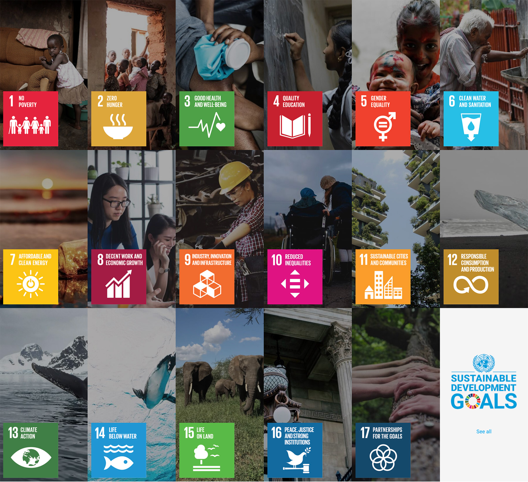 United Nations Development Goals for Global Positive Impact