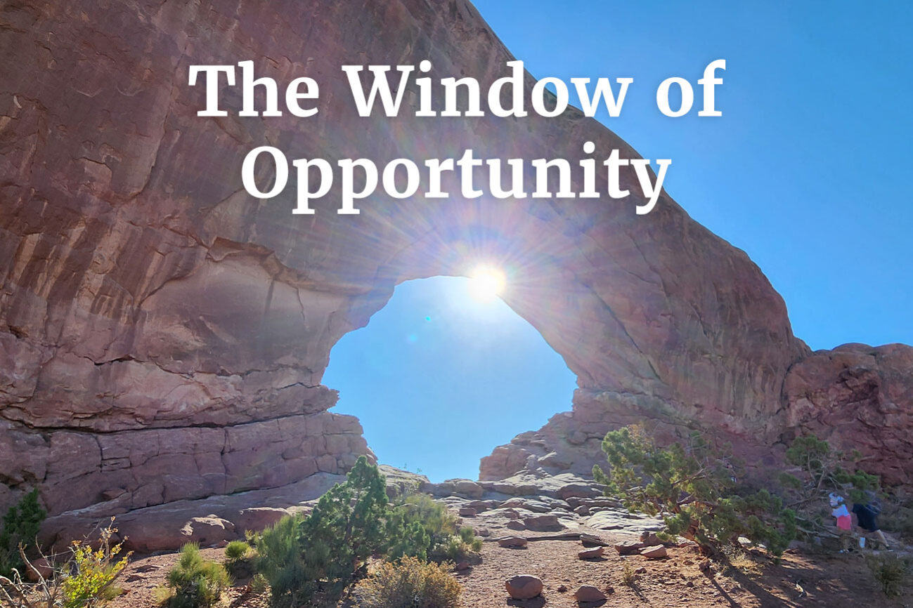 Personal Profile Optimization for AI Search